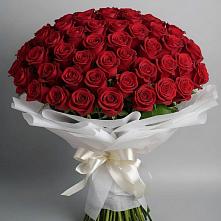 Букет 101 Красная роза Блэк Мэджик #REPLACE_PRED# Залесный Казань