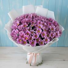 Букет цветов из:  Хризантемы в Залесный Казань