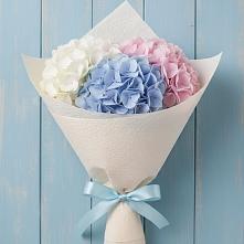 Букет цветов из:  Гортензия #REPLACE_PRED# Залесный Казань