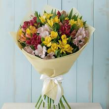 Букет цветов из:  Альстромерии в Залесный Казань