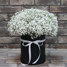 Цветочная композиция из Гипсофила в шляпной коробке #REPLACE_PRED# Залесный Казань