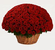 Премиум букет из: Розы в Залесный Казань