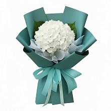 Букет цветов из:  Гортензия #REPLACE_PRED# Залесный Казань